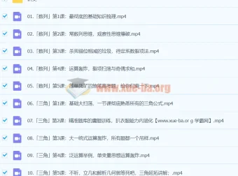 2024高三高考数学 大题狂飙营2.0 树成林
