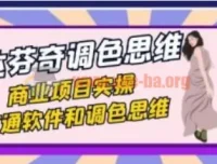 达芬奇调色思维与商业项目实操课，打通软件与调色思路（37节）