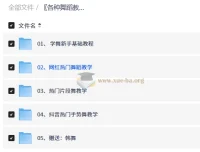 各种舞蹈教程合集：从零基础入门到热门韩舞街舞全覆盖