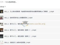 九儿爸AI短视频课程：零基础入门AI视频、电商与实体创业