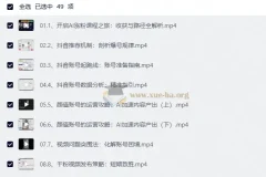 AI涨粉魔法：抖音30天突破1000粉实战课
