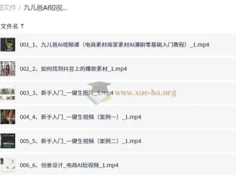 九儿爸AI短视频课程：零基础入门AI视频、电商与实体创业