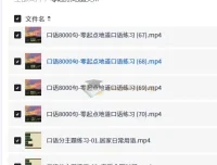 零起点地道英语口语练习 8000句实用口语+分主题+万用句型