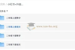 小红书抖音爆款 小学二年级学习资料合集 语文数学上下册全覆盖