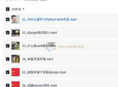大熊课堂 Django+Vue 全栈开发实战课程 194节完整版