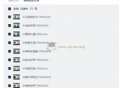 画啦啦美术课 全套72节少儿创意美术启蒙视频