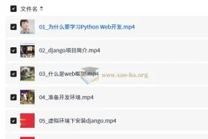 大熊课堂 Django+Vue 全栈开发实战课程 194节完整版