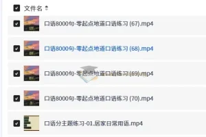 零起点地道英语口语练习 8000句实用口语+分主题+万用句型