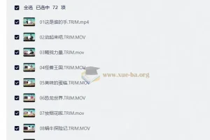 画啦啦美术课 全套72节少儿创意美术启蒙视频