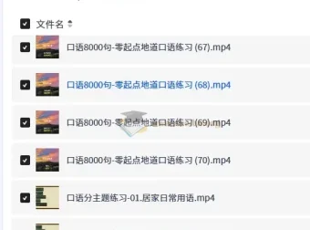 零起点地道英语口语练习 8000句实用口语+分主题+万用句型