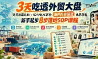 3天吃透外贸大盘：底层认知、B2B/B2C区分、海外抖音带货与8步落地SOP