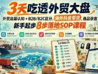 3天吃透外贸大盘：底层认知、B2B/B2C区分、海外抖音带货与8步落地SOP