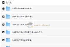 1-9年级全科教辅资料合集 状元大考卷课堂点睛活页1+1